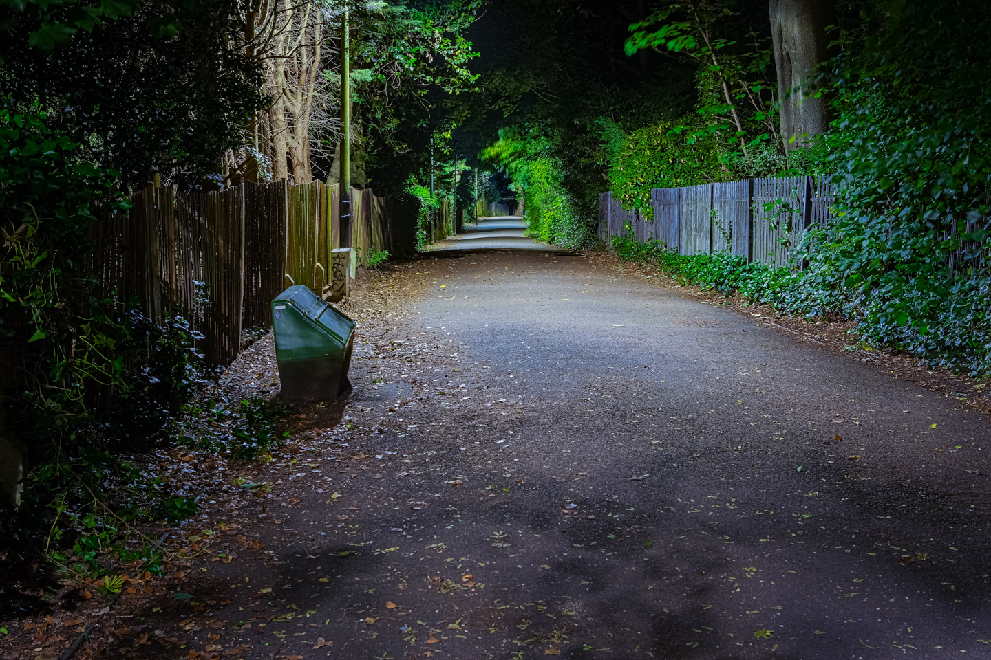 Crescent Wood Road looking down the path to Sydenham Hill station